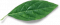 leaf-free-img.png leaf-free-img.png